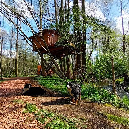 Treehouse V Brdech Villa Bohutín Kültér fotó