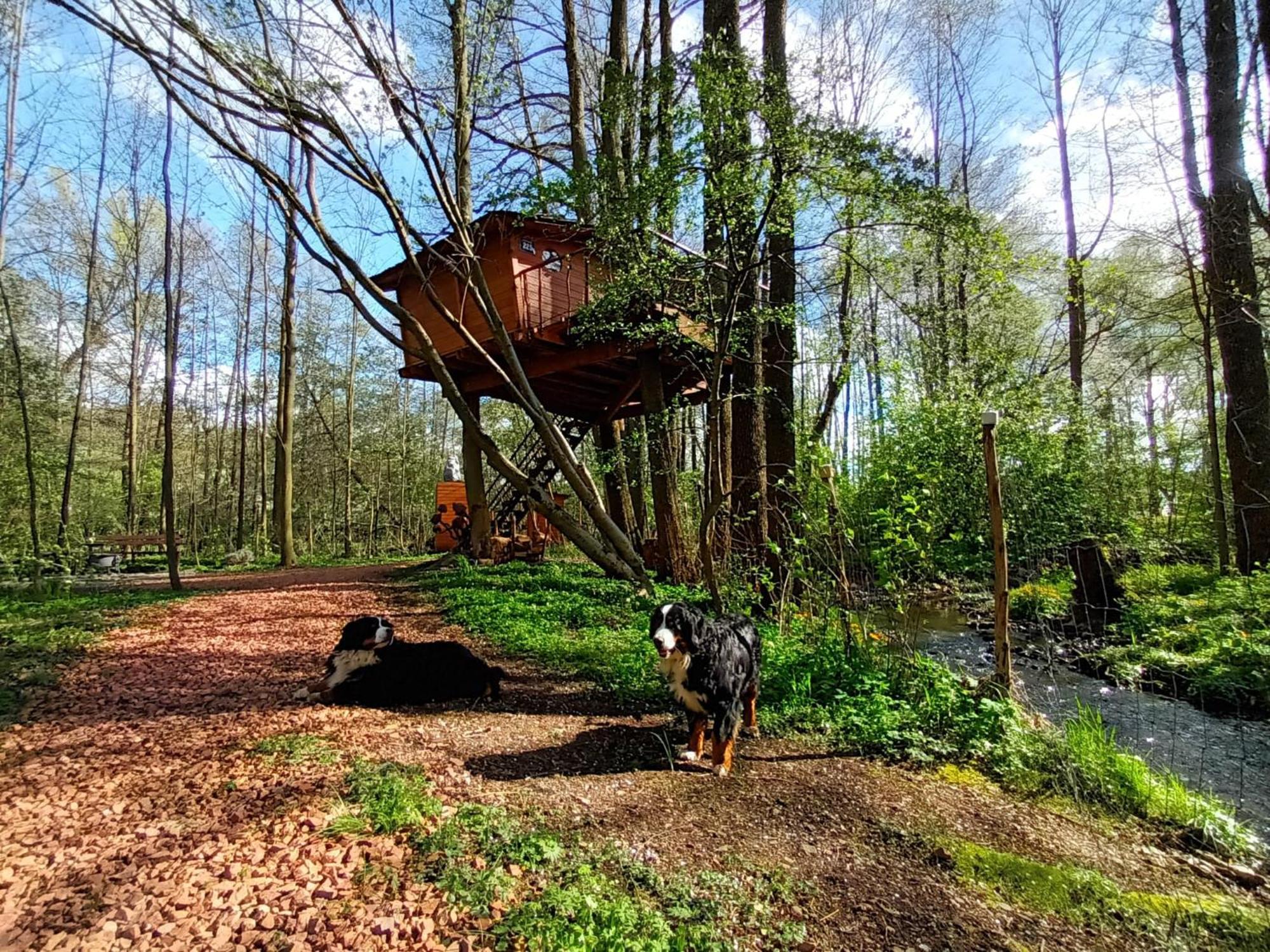 Treehouse V Brdech Villa Bohutín Kültér fotó